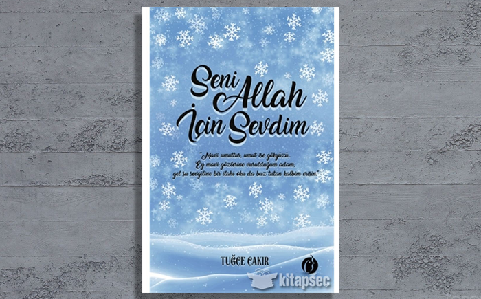 Dini Romanlar: Seni Allah İçin Sevdim – Tuğçe Çakır Posteri